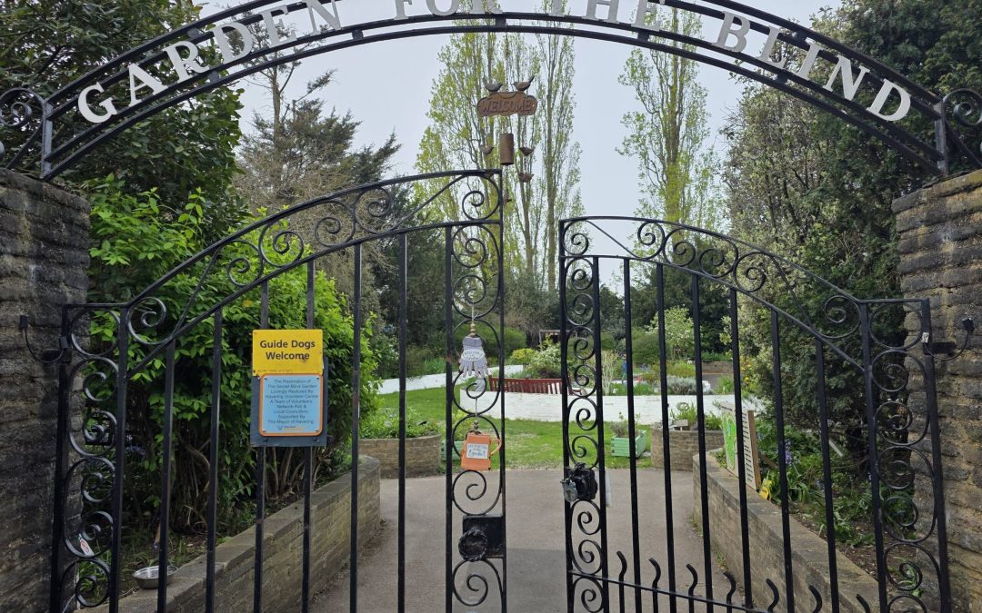 Sensory Garden for the Blind